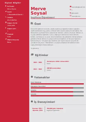 Yabancı Dil Öğretmeni Cv Örnekleri cv indir